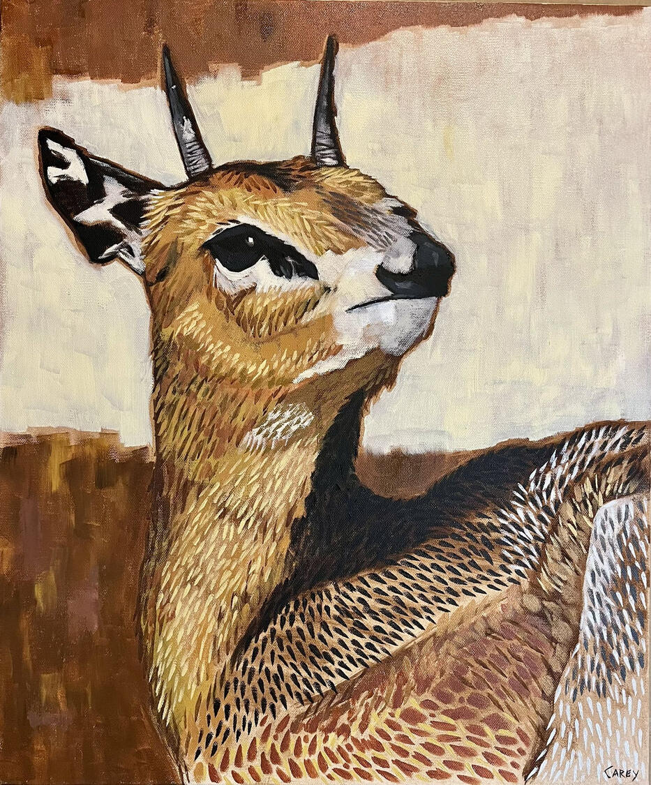 Rock Deer, Private Collection