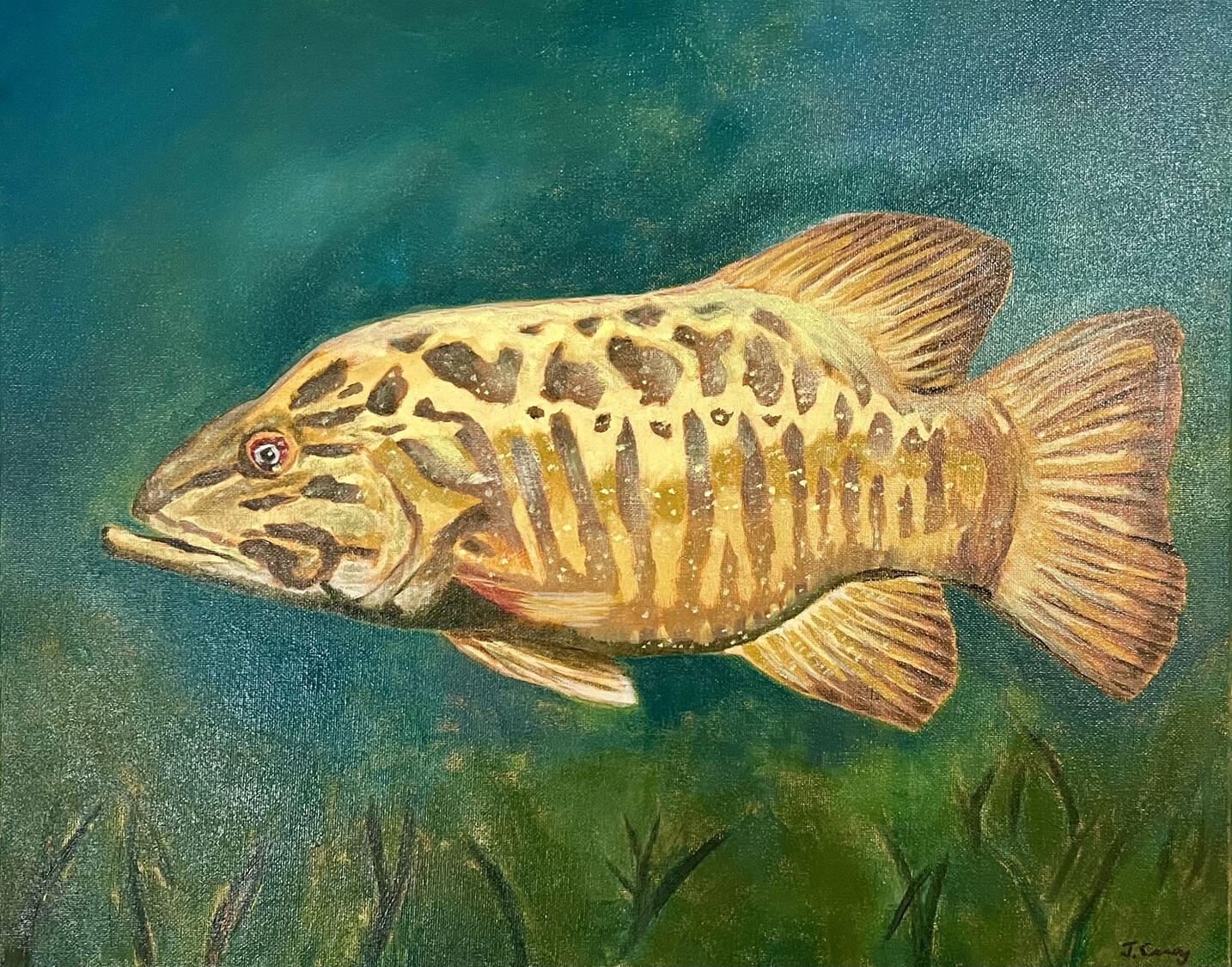“Almost Got'em” Oil on Canvas, Framed 16"x20", Available. $350